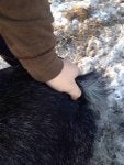 Vertebrate Mammal Denim Barefoot Foot