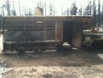 Automotive tire Vehicle Motor vehicle Tree Wood